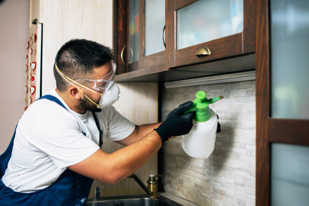 Best Rat Extermination Near Me  in East Highland Park, VA